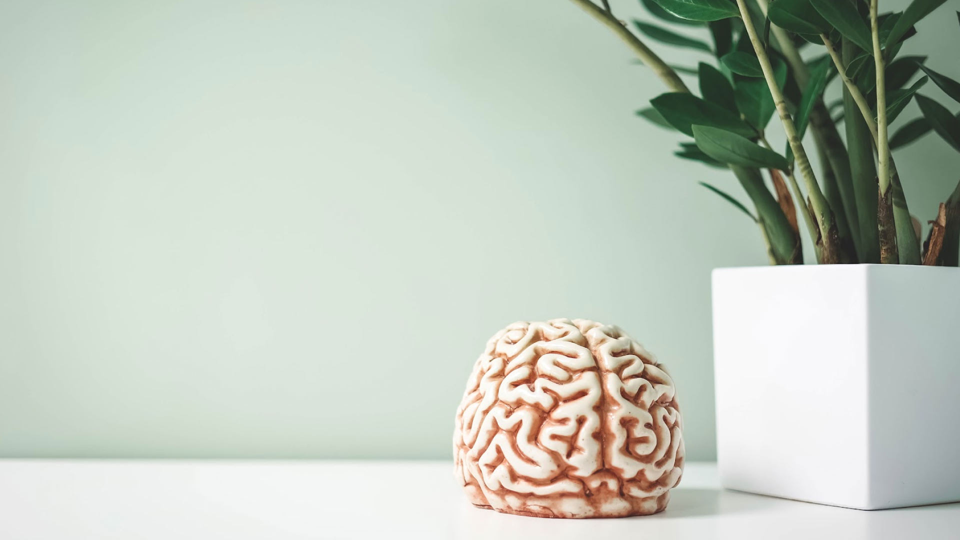 Transkraniaalne teraapia (tDCS)